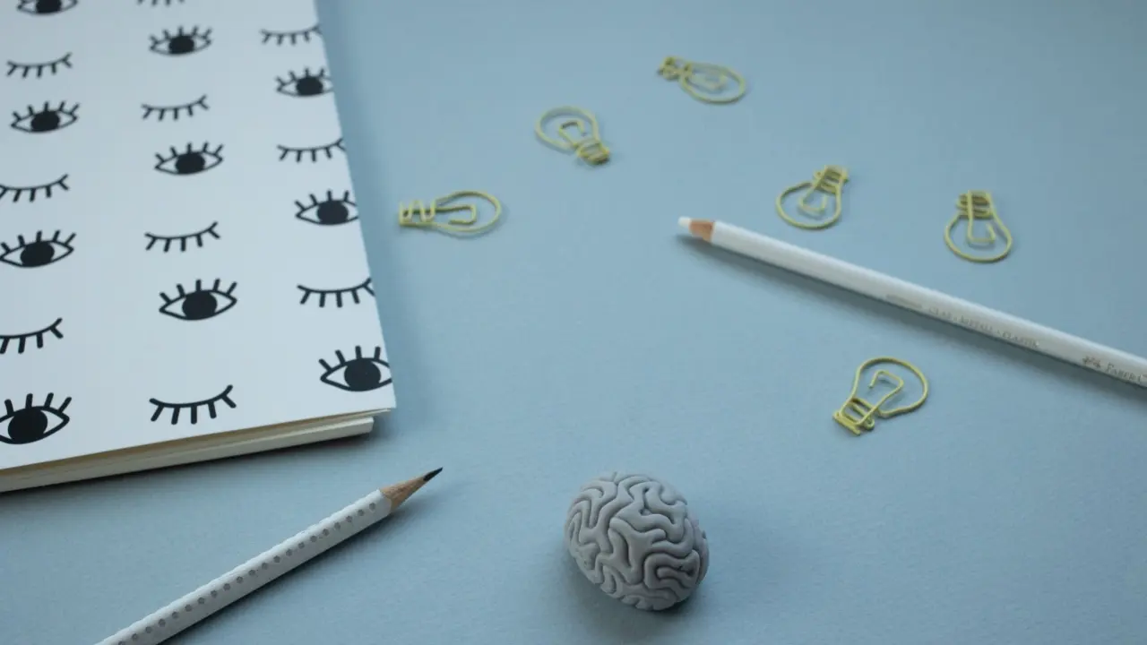 stress and the brain