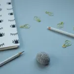 Stress and the Brain