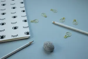 stress and the brain