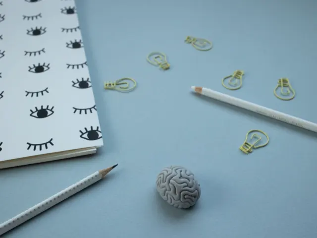 Stress and the Brain